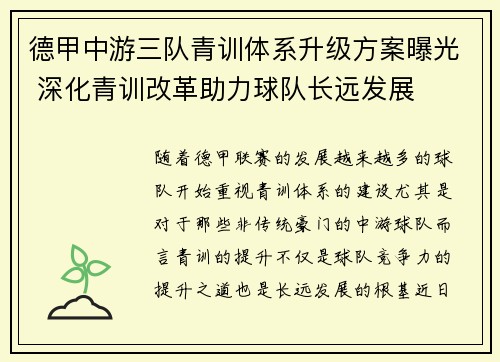 德甲中游三队青训体系升级方案曝光 深化青训改革助力球队长远发展