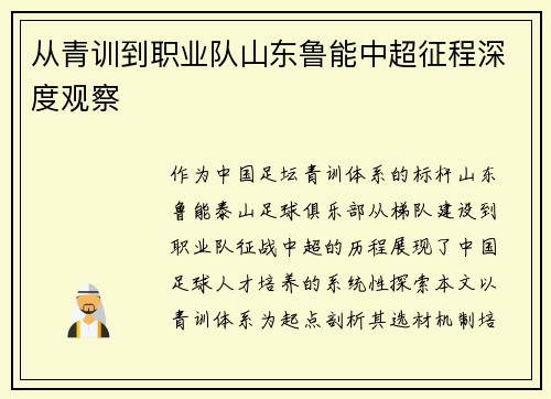 从青训到职业队山东鲁能中超征程深度观察